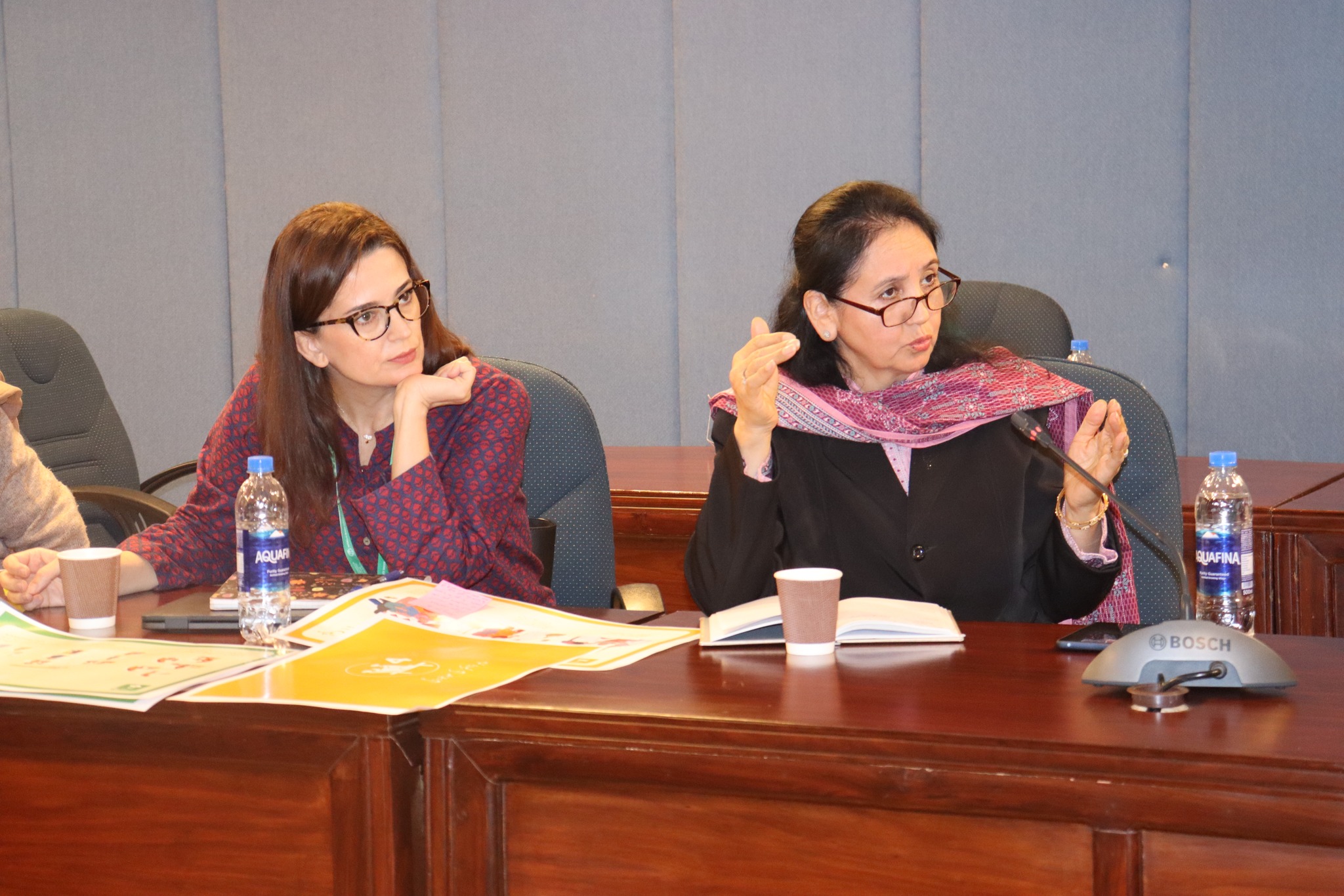 ECD Working Group Meeting organised by the Ministry of Planning, Development and Special Initiatives(MoPDSI) and UNICEF Pakistan